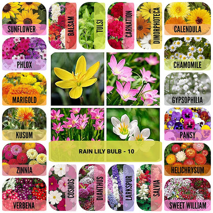 semillas de flores
