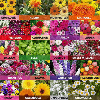 semillas de flores